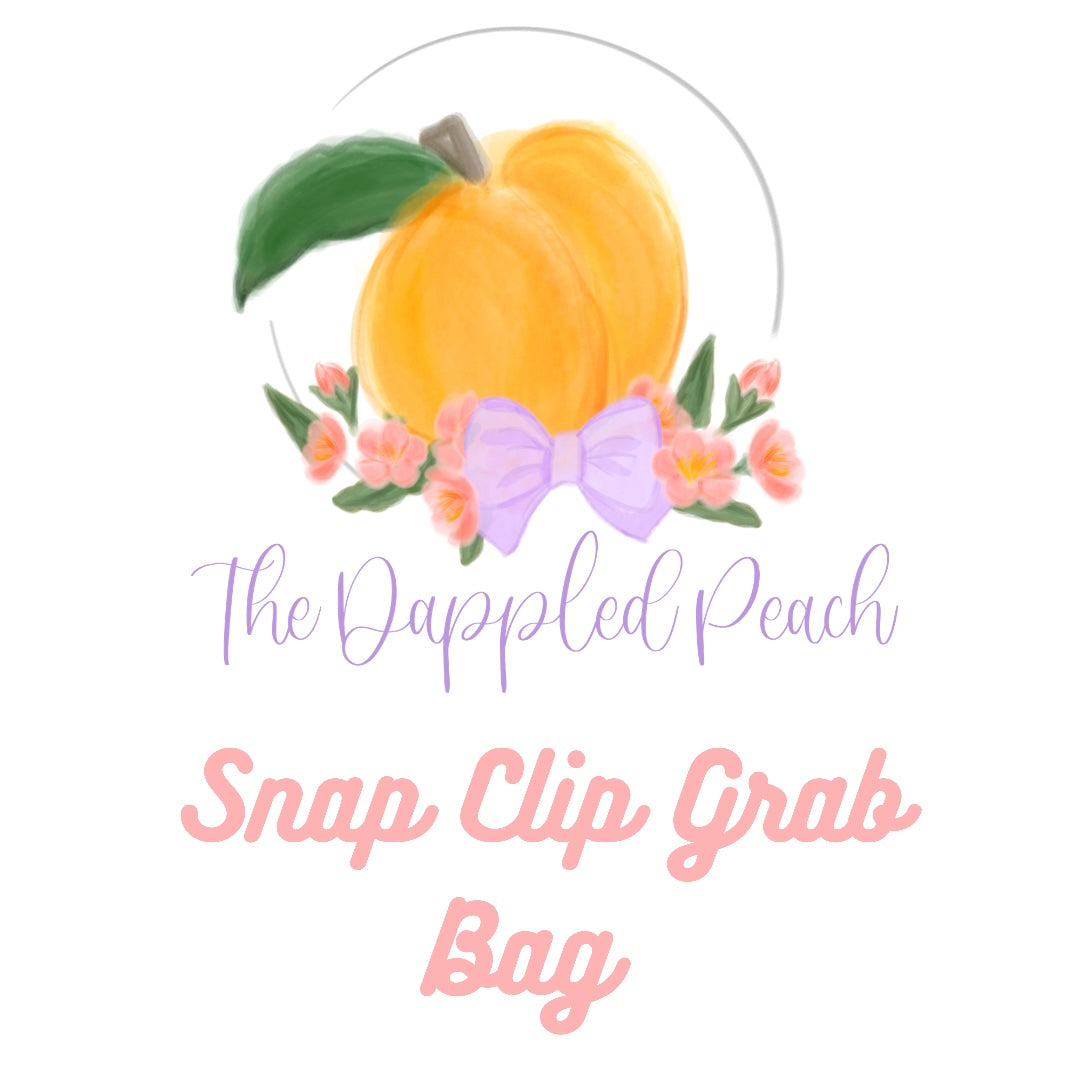 Snap Clip Grab Bag